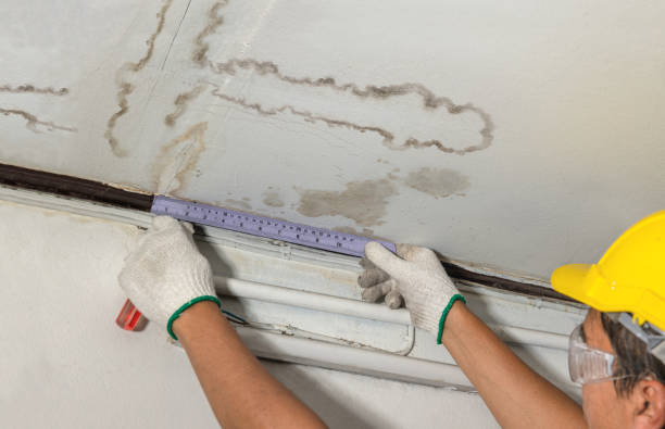 Reliable Burst Pipe Cleanup contractor in Newport, MI by Local Water Damage Repair